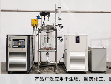 雙層玻璃反應(yīng)釜